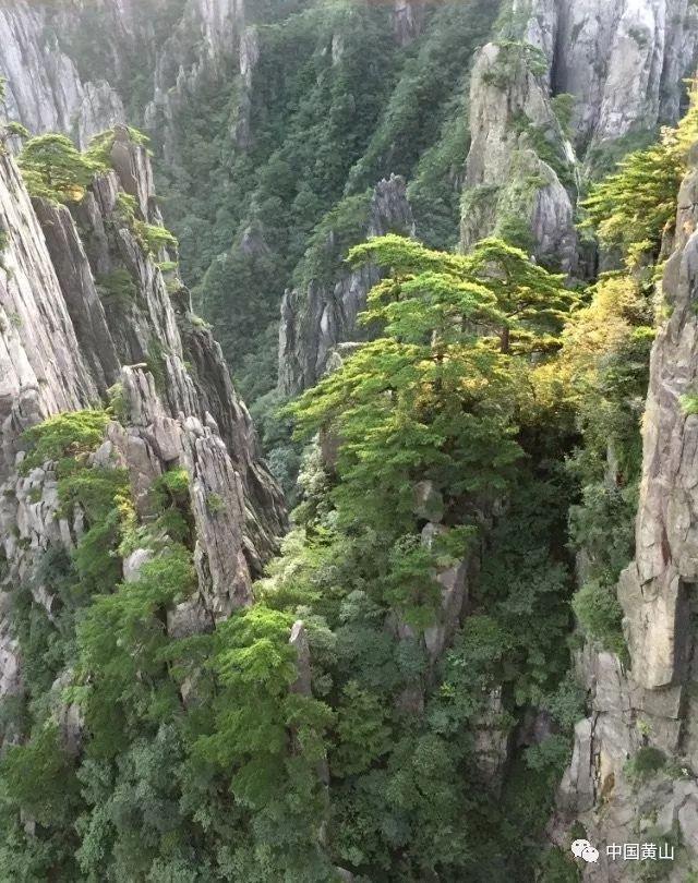 雨量在线监测系统